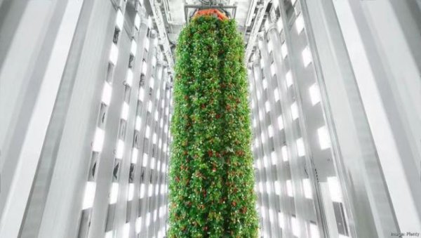 万隆优配 130亿，孙正义独角兽破产