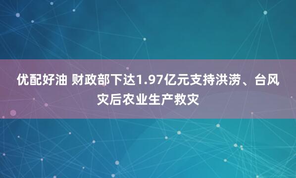 优配好油 财政部下达1.97亿元支持洪涝、台风灾后农业生产救灾