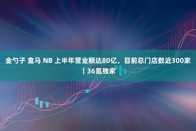 金勺子 盒马 NB 上半年营业额达80亿，目前总门店数近300家｜36氪独家