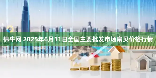 锦牛网 2025年6月11日全国主要批发市场扇贝价格行情