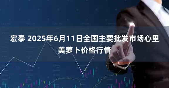 宏泰 2025年6月11日全国主要批发市场心里美萝卜价格行情
