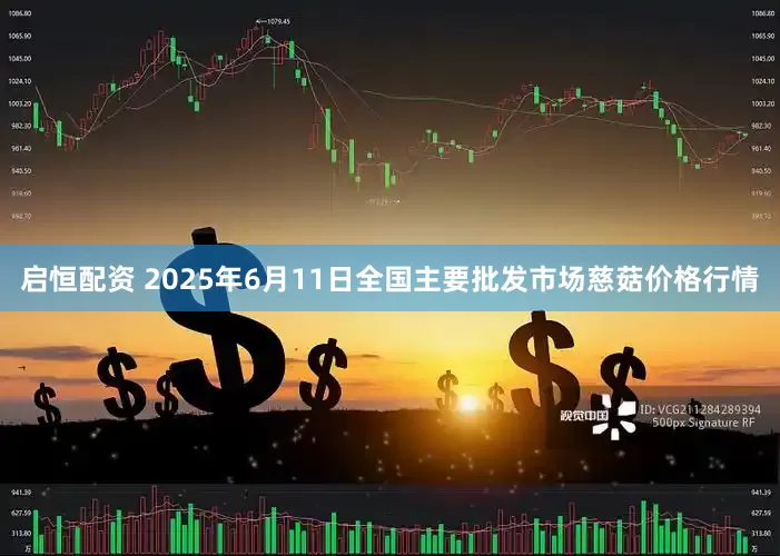 启恒配资 2025年6月11日全国主要批发市场慈菇价格行情