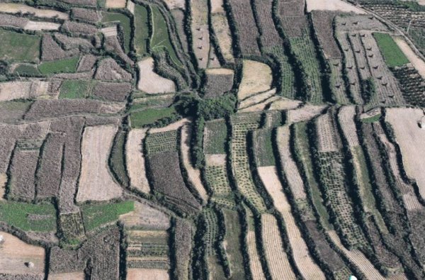 贝格富 10月15日最佳情报|环城公园秋韵盈眸，沂蒙山梯田层叠如画！